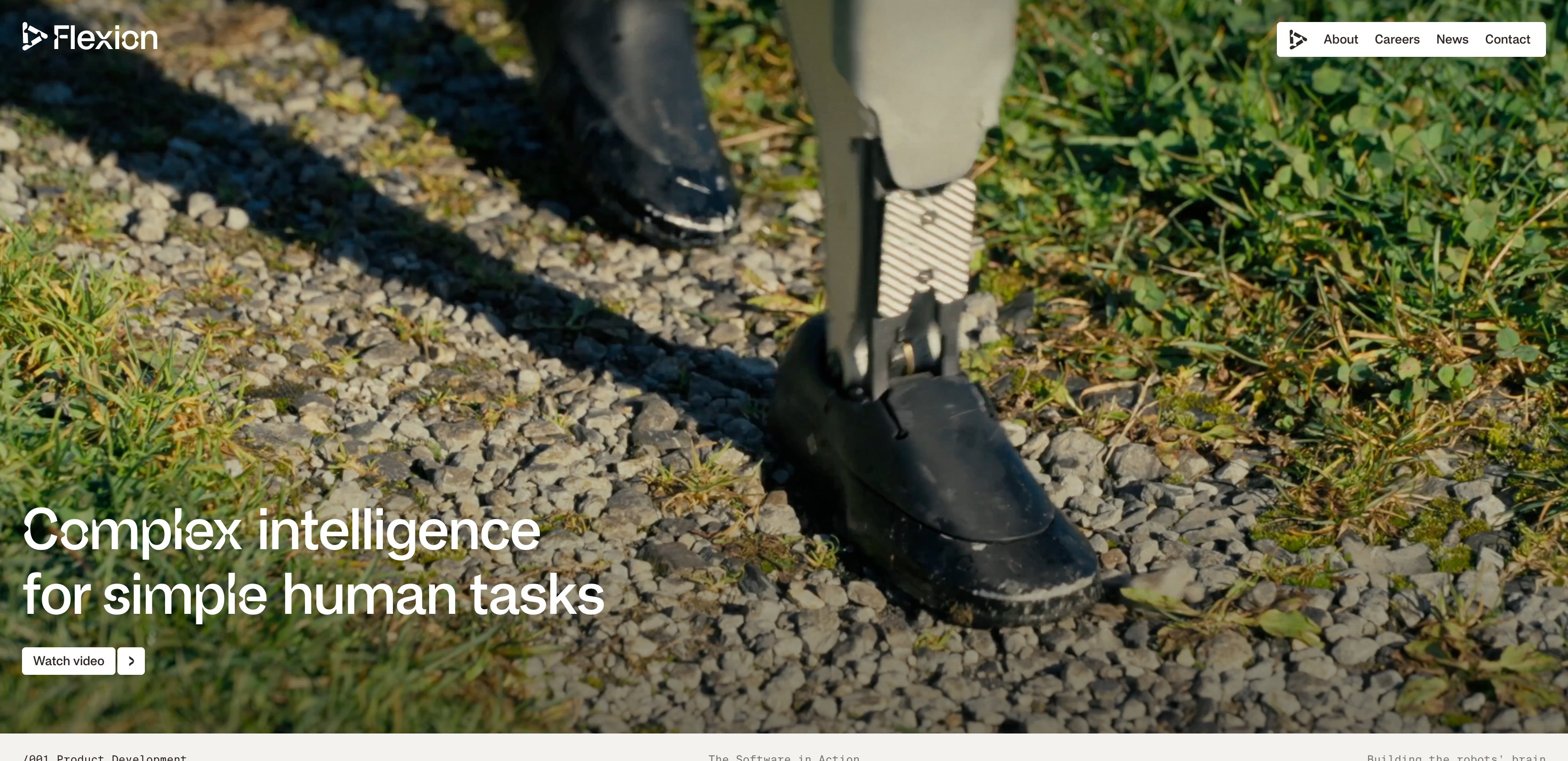 Flexion Robotics